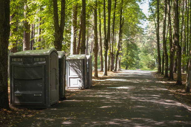 Reliable Mount Pleasant, TN porta potty rental Solutions